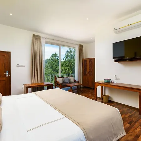 Morning Dew Boutique Hotel Ella-3